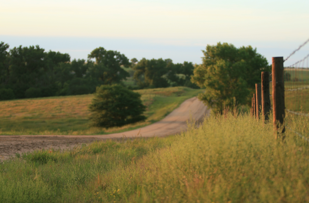 Screen shot 2015-06-08 at 12.18.12 PM