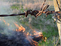 Fire in Field