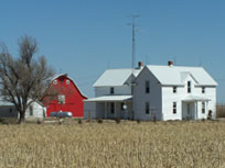 Grainfield Image 02