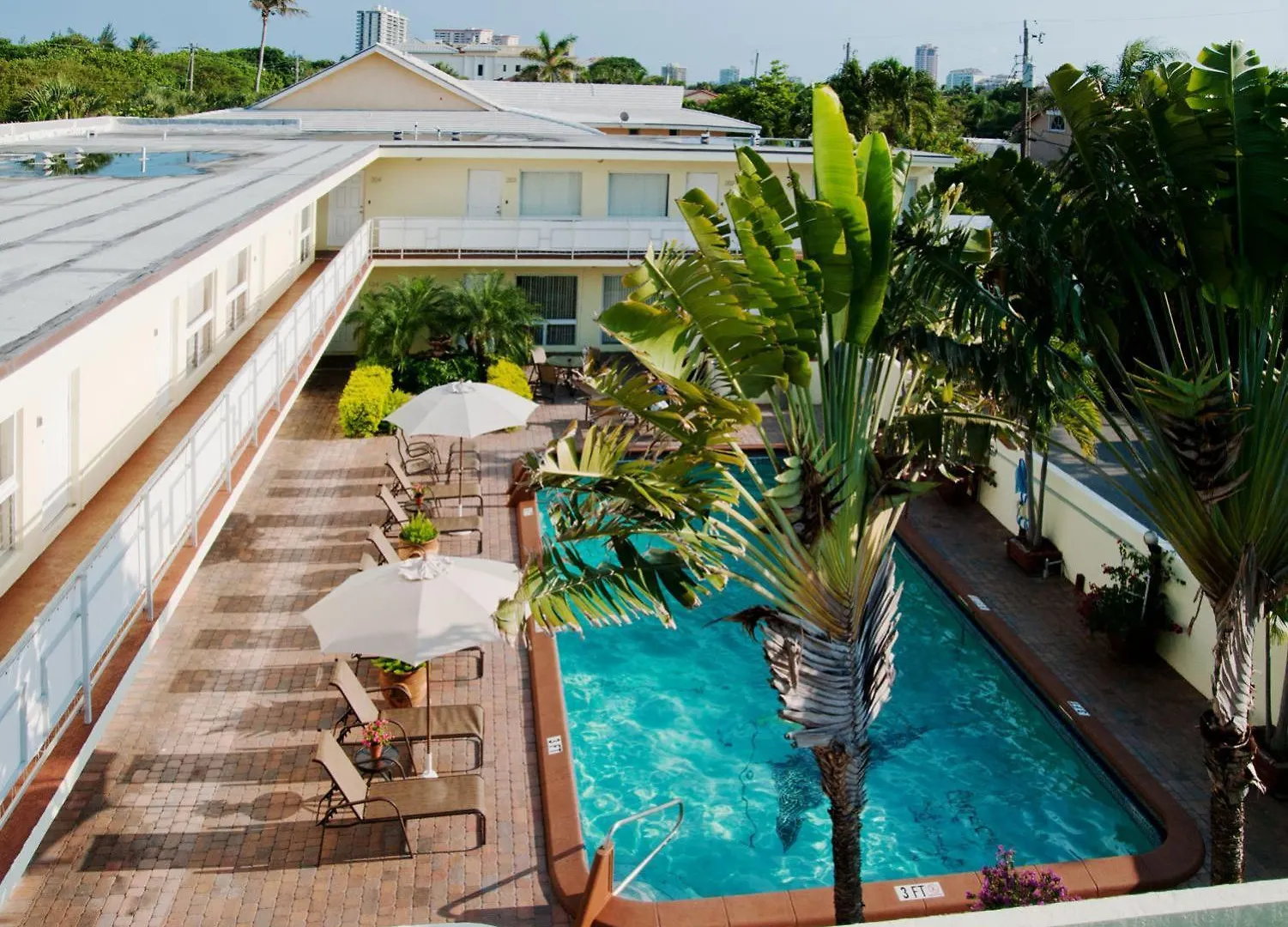 6 Smart Budget Hotels in Palm Beach County Worth Booking